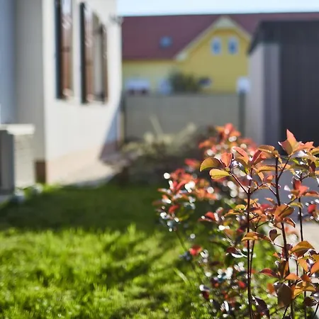 Apartamento Rózsabarack