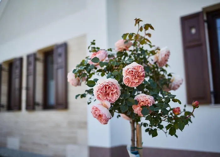 Rozsabarack Vendeghazak Hegyko